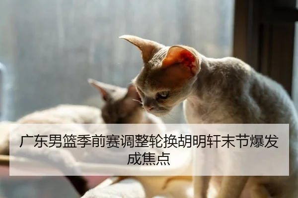 广东男篮季前赛调整轮换胡明轩末节爆发成焦点